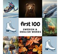 Mrs Aisling Heidary Mr Ali Heidary First 100 Swedish & English Words (Tascabile)