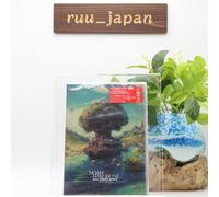 Mrs. GREEN APPLE ARENA TOUR 2023 “NOAH no HAKOBUNE” 2DVD JAPAN Standard Nuovo