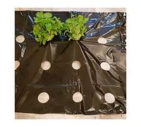 MRVAKDYDI Grandi Fogli di plastica Spessi Impermeabili alla 5~50M 0,02 mm 5 Fori Pellicola da Giardino Nera Pellicola for la Crescita di Piante di ortaggi di Alta qualità(30 Meters)
