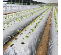 MRVAKDYDI Grandi Fogli di plastica Spessi Impermeabili alla Pellicola for la Copertura del Terreno agricolo Argentata da 0,02 mm di Lunghezza, 10 m(1.2m Width)