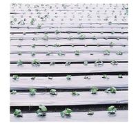 MRVAKDYDI Grandi Fogli di plastica Spessi Impermeabili alla Pellicola pacciamante in plastica Larga 80 cm for Serre agricole(80CM Wide 0.8S Thick 750 m Long)