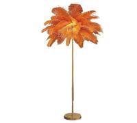 MRVAKDYDI Lampada da Terra Spazzolata, Lampada da Terra Feather Multicolor 1.6m 3 Temperature Colore LED con Interruttore A Pedale