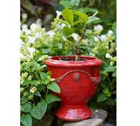 MRVAKDYDI Vasi per Piante Fioriere Moderne, Succulent Planters Creative Rough Pottery Glaze Applique, Cup Flower Pots Old Fashioned Plant Garden Pot(Red,19cm)