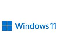 MS 1XWIN 11 PRO 64BIT (POLACO) 1PK DSP OEI DVD (PL)