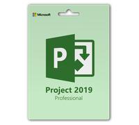 MS Project Professional 2019 1 PC