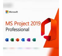 MS Project Professional 2019 CD Key - GLOBAL