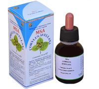 Msa corylus avellana 50 ml
