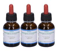 Msa Crataegus Oxyaca 3x50 ml Gocce orali