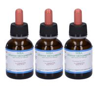Msa Ulmus Campestris Gocce 3x50 ml Soluzione orale