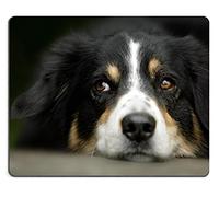 Msd Natural rubber Gaming Mousepad Image ID: 7601322 ritratto di un pastore australiano