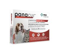 MSD Panacur Forte Vermifugo per animali di taglia grande Compresse per cani e gatti 10 Compresse - 1° ORDINE? scegli lo sconto BZR5 / BZR20 + 200 punti fedeltà