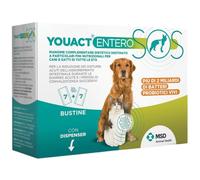 MSD YouAct Entero SOS cane e gatto 14 bustine da 2 gr (scadenza: 30/06/2026) - Integratori per cani - 1° ORDINE? scegli lo sconto BZR5 / BZR20 + 200 punti fedeltà