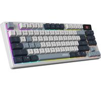MSI Tastiera FORGE GK600 TKL – Layout italiano – Bianca, blu scuro, blu chiaro, Sky