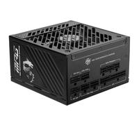 MSI MPG A1000GS PCIE5 306-7ZPFY11-CE0