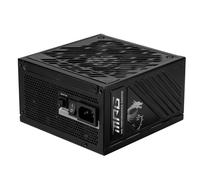 MSI MPG A1000GS PCIE5 306-7ZPFY11-CE0