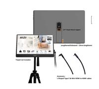 MSI Pro MP161 E2 Monitor portatile Nero 39,6 cm (15.6") LED 1920 x 1080 Pixel