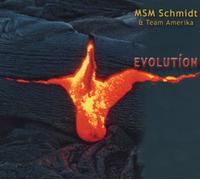 Msm Schmidt - Evolution