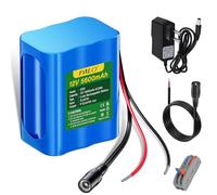 Mspalocell 12V 5600mAh Batteria agli ioni di litio con caricabatterie e cavo di collegamento per radio, macchine fotografiche, videocamere, organo elettronico, lampada, telescopi, sonar