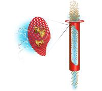 MSR - Guardian Purifier - filtro per l'acqua