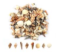 MsTeco Conchiglie Decorative 200 g Conchiglie Miste Realizzato in Materiale Marino Naturale Decorazioni Conchiglia Adatto per Acquari Vasi Feste in Spiaggia Decorazioni per Matrimoni