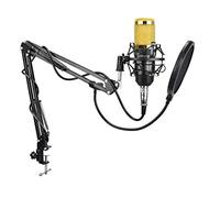 Msuiiixcccc Without Noise Professional 3.5-XLR Recording Condenser Microphone for Computer Live Sound Card Karaoke (Color : Silver) (Gold)