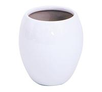 MSV - Portaspazzolino Java - Bicchiere - Ø 7,5 x 11,5 cm - Bianco - Design Moderno per Il Bagno - Superficie Facile da Pulire - Ideale per spazzolini e Accessori
