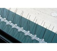 MT 10,00 DISSUASORI SPILLI INOX PER VOLATILI PICCIONI UCCELLI COLOMBI DA 50cm