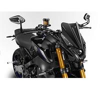 MT09 FZ09 2021/23 - Cupolino 'Warrior' (R-0954) - Parabrezza in Alluminio - Minuteria Inclusa - Facile Installazione - Accessori De Pretto Moto (DPM Race) - 100% Made in Italy