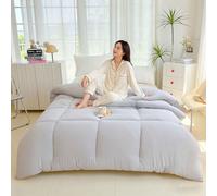 MTHGH Edredón De Invierno De Fibra De SOJA, Edredón Grueso De Invierno, Manta Muy Cálida Y Súper Suave para 2 Personas, Edredón De Microfibra, Edredón Acolchado Reversible(C,180x220cm/4kg)