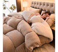 MTHGH Piumone Matrimoniale Invernale,Trapunta in Pile Double-Face Spessa E Calda,Coperta Addensare Fluffy Inverno Piumino Spesso Morbida E Calda(04,Pillowcase)