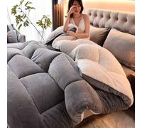 MTHGH Piumone Matrimoniale Invernale,Trapunta in Pile Double-Face Spessa E Calda,Coperta Addensare Fluffy Inverno Piumino Spesso Morbida E Calda(02,Pillowcase)