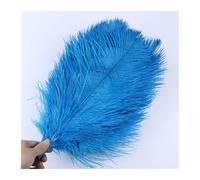 MTKSFDC Piuma di Struzzo 10 PZ 15-20 cm/25-30 cm/35-40 cm/50-55 cm Colore Piume di Struzzo Pennacchi for La Festa Nuziale Artigianato Centrotavola Decorazione di Carnevale(Lake Blue,25-30CM)