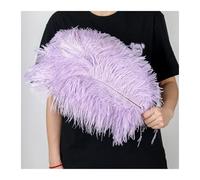 MTKSFDC Piuma di Struzzo 10 Pz/Lotto 15-60 cm Luce Blu Piume di Struzzo Naturali Soffici Pennacchi for L'artigianato di Carnevale di Nozze Decorazione della Casa Ristorante(Brown,55-60CM Big Pole)