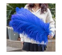 MTKSFDC Piuma di Struzzo 10 Pz/Lotto 15-60 cm Luce Blu Piume di Struzzo Naturali Soffici Pennacchi for L'artigianato di Carnevale di Nozze Decorazione della Casa Ristorante(Dark Gray,50-55CM)