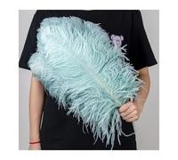 MTKSFDC Piuma di Struzzo 10 Pz/Lotto 15-60 cm Luce Blu Piume di Struzzo Naturali Soffici Pennacchi for L'artigianato di Carnevale di Nozze Decorazione della Casa Ristorante(Gray,30-35CM)