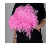 MTKSFDC Piuma di Struzzo 10 Pz/Lotto 15-60 cm Luce Blu Piume di Struzzo Naturali Soffici Pennacchi for L'artigianato di Carnevale di Nozze Decorazione della Casa Ristorante(Golden,55-60CM Big Pole)