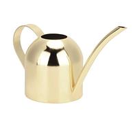 Mtlavishishishishing 500ml in acciaio inossidabile lattina con manico ergonomico per le piante di zappa esterno interno fiori semi aperti top design 22x9x9cm (Oro)