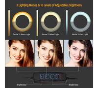 Mtlavishishishishishing Dimmable Light Desktop Riempimento Porta Light Trippied Arm Camera Montaggio per lo streaming in diretta