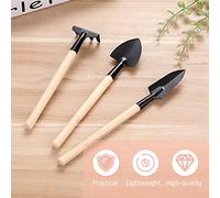 Mtlavishness 10 Pezzi Set di Attrezzi per Piantare il Giardino Forbici Pieghevoli Rastrello Pale Pinzette Bonsai Succulente Fata in Miniatura Mini Giardino Piantare Attrezzi