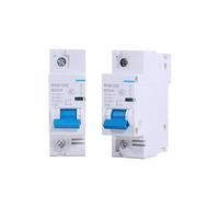 MTMXALBBR Interruttore automatico CC 1P/2P 12/24/48/60/120 V Interruttore di protezione da cortocircuito della batteria solare for camper e yacht leisurely(2P,100A)