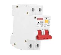 MTMXALBBR Protezione da dispersione CC RCBO tipo A, interruttore differenziale di classe A, mini interruttore differenziale DPN CA CC 230 V 110 V 32 A leisurely(32A)