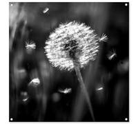 MuchoWow© Decoracion Jardin Exterior 100x100 cm Decoración Pared Póster De Jardín Balcón Wall Decoration Patio Posters Decorativos Terraza Diente león - Negro - Blanco - Planta
