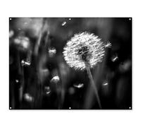 MuchoWow© Decoracion Jardin Exterior 160x120 cm Decoración Pared Póster De Jardín Balcón Wall Decoration Patio Posters Decorativos Terraza Diente león - Negro - Blanco - Planta
