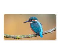 MuchoWow© Decoracion Jardin Exterior 200x100 cm Decoración Pared Póster De Jardín Balcón Wall Decoration Patio Posters Decorativos Terraza Pájaro - Pescador - Animales - Rama