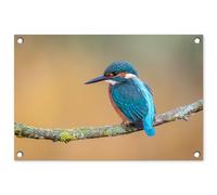 MuchoWow© Decoracion Jardin Exterior 60x40 cm Decoración Pared Póster De Jardín Balcón Wall Decoration Patio Posters Decorativos Terraza Pájaro - Pescador - Animales - Rama