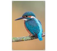 MuchoWow© Decoracion Jardin Exterior 80x120 cm Decoración Pared Póster De Jardín Balcón Wall Decoration Patio Posters Decorativos Terraza Pájaro - Pescador - Animales - Rama