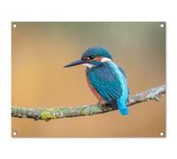 MuchoWow© Decoracion Jardin Exterior 80x60 cm Decoración Pared Póster De Jardín Balcón Wall Decoration Patio Posters Decorativos Terraza Pájaro - Pescador - Animales - Rama