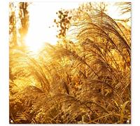 MuchoWow© Decoracion Pared Exterior 100x100 cm Posters Decorativos Jardin Terraza Balcon Wall Decoration Decoración Patio Póster De Jardín Hierba la Pampa - sol