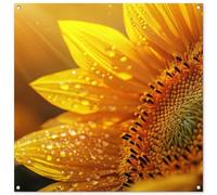 MuchoWow© Decoracion Pared Exterior 100x100 cm Posters Decorativos Jardin Terraza Balcon Wall Decoration Decoración Patio Póster De Jardín Girasol - Gotas rocío - Amarillo - Luz Solar