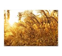 MuchoWow© Decoracion Pared Exterior 120x80 cm Posters Decorativos Jardin Terraza Balcon Wall Decoration Decoración Patio Póster De Jardín Hierba la Pampa - sol